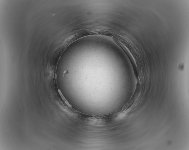 X0000090900284200708131358