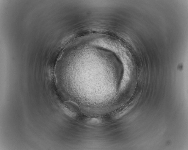 X0000090900285200708131358