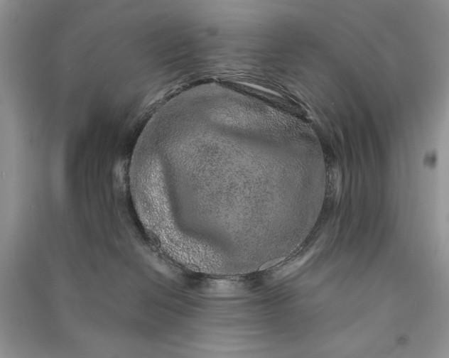 X0000090900286200708131358