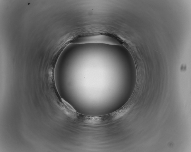 X0000090900288200708131358