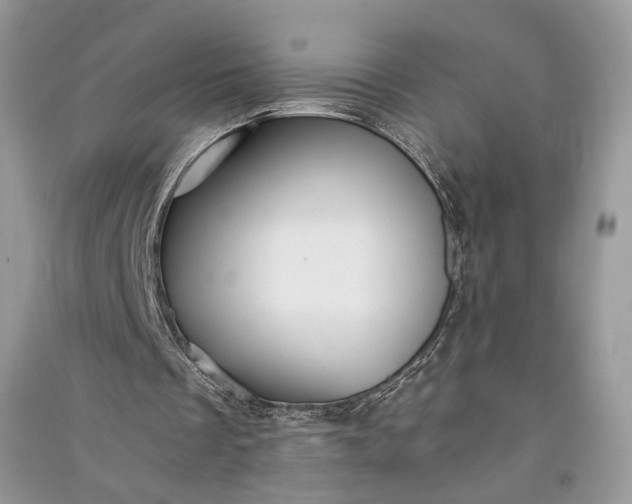 X0000090900289200708131358