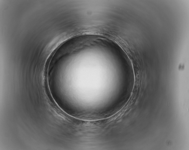 X0000090900290200708131358