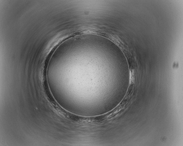 X0000090900291200708131358