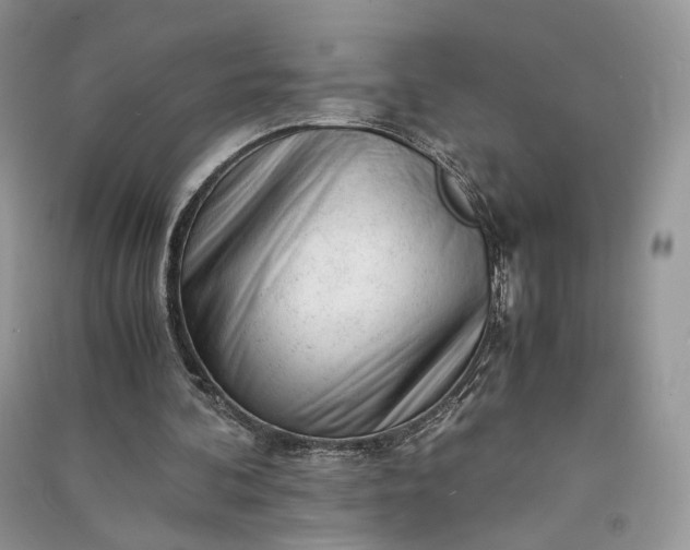 X0000090900292200708131358