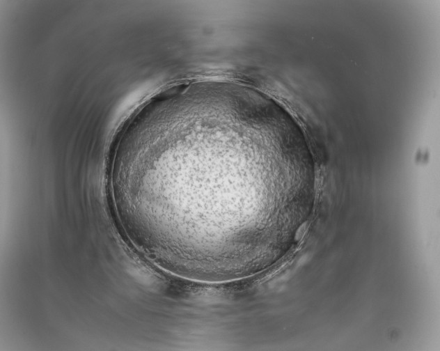 X0000090900293200708131358