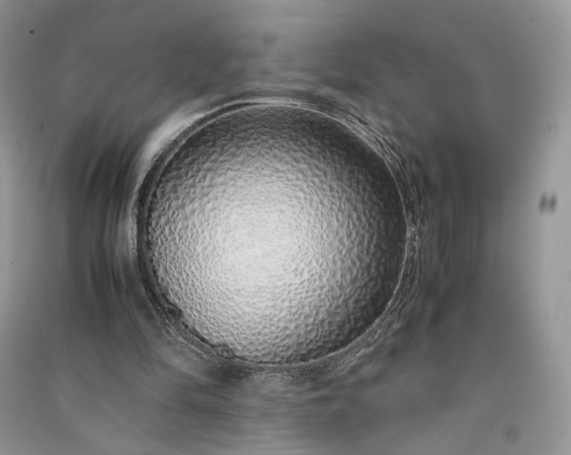 X0000090900294200708131358