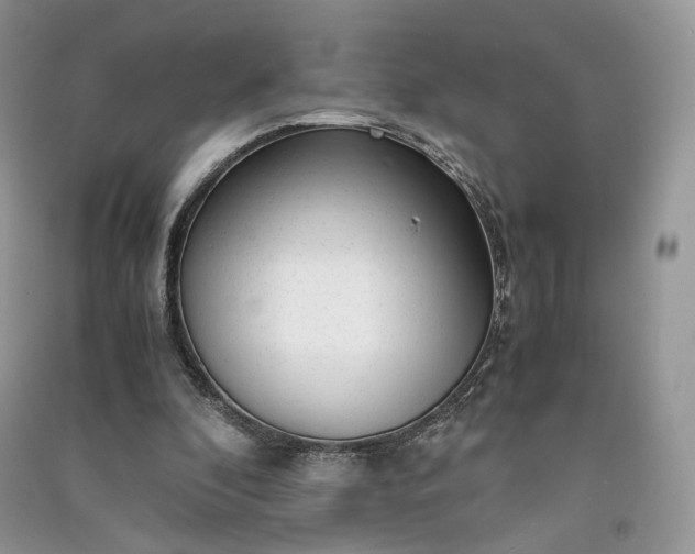 X0000090900296200708131358