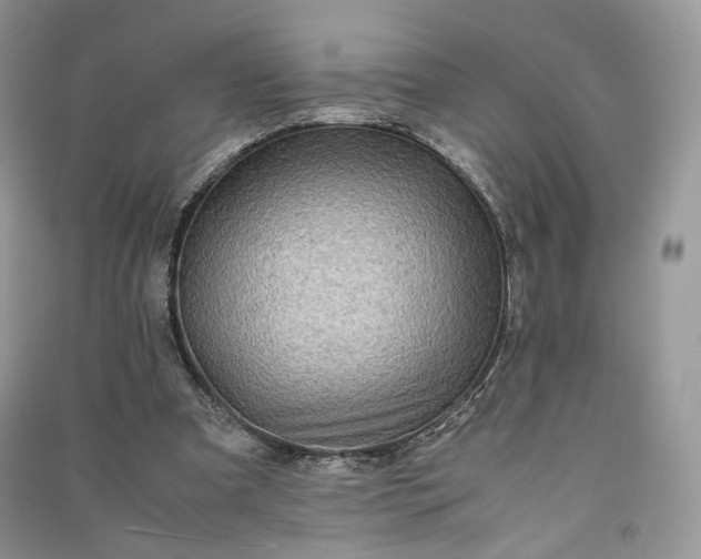 X0000090900297200708131358