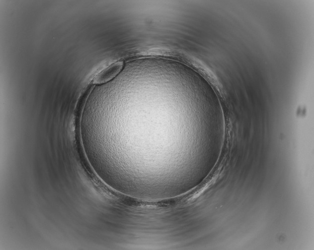 X0000090900298200708131358