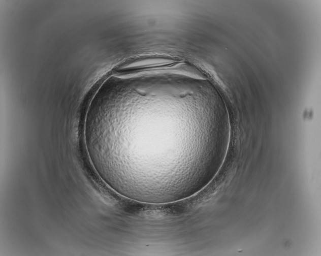 X0000090900299200708131358