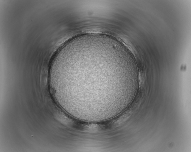 X0000090900301200708131358