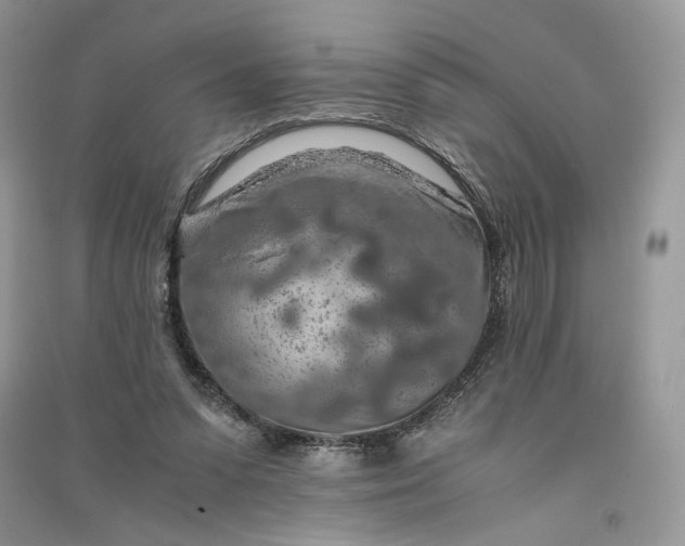 X0000090900303200708131358