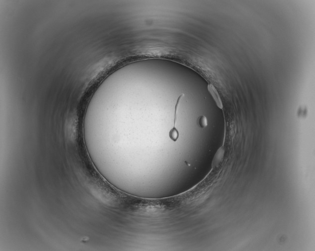 X0000090900304200708131358