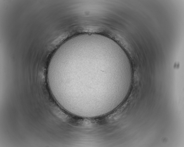 X0000090900305200708131358