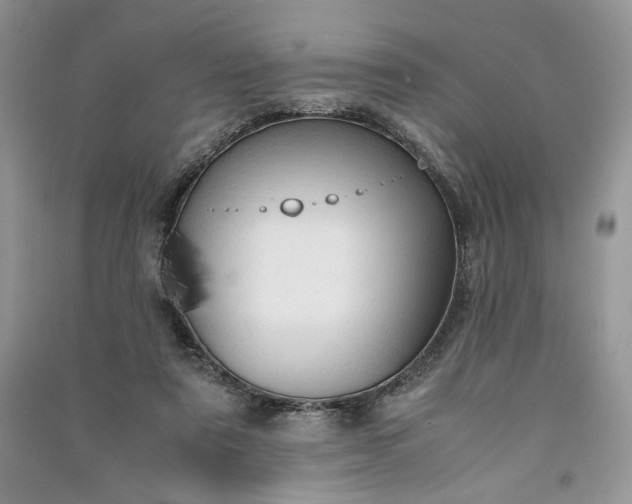 X0000090900307200708131358