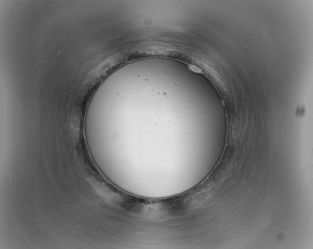 X0000090900309200708131358