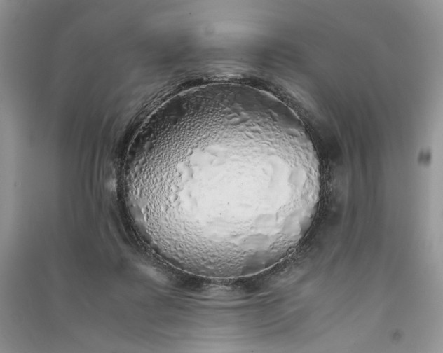 X0000090900315200708131357