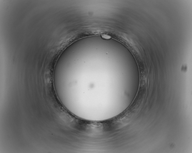 X0000090900317200708131357