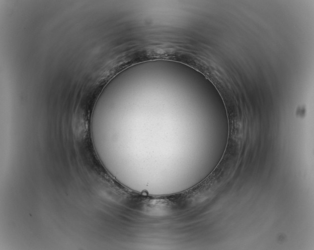 X0000090900324200708131357