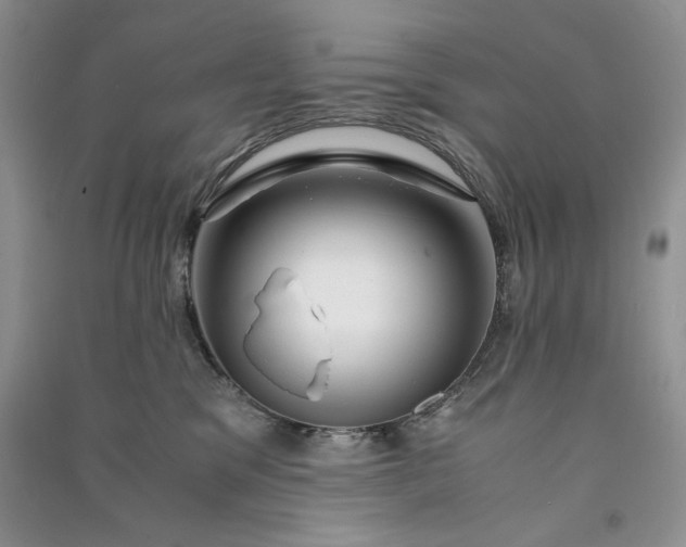 X0000090900329200708131357