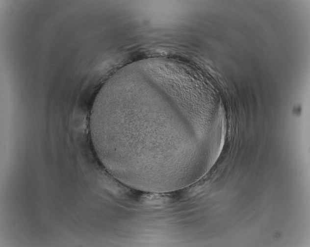 X0000090900331200708131357