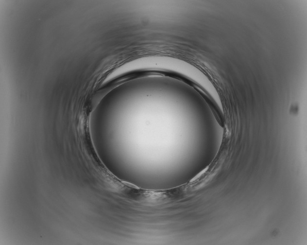 X0000090900333200708131357