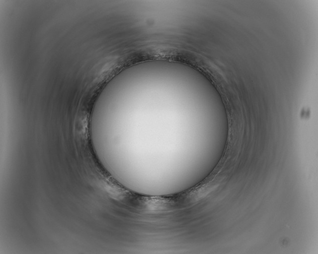 X0000090900336200708131357