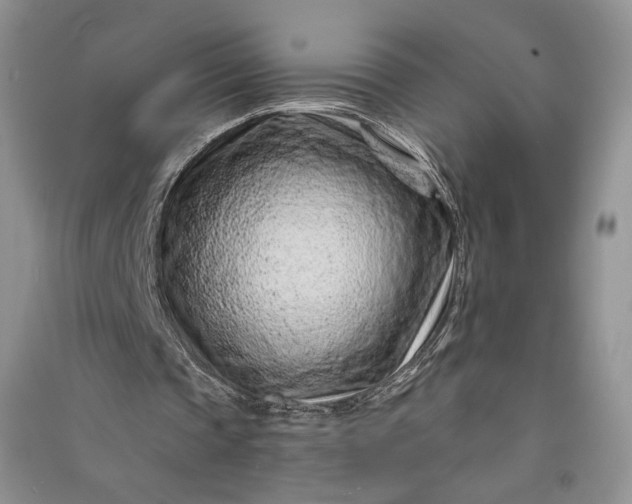 X0000090900337200708131356