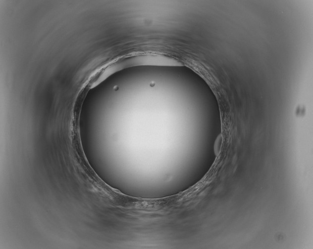 X0000090900338200708131356