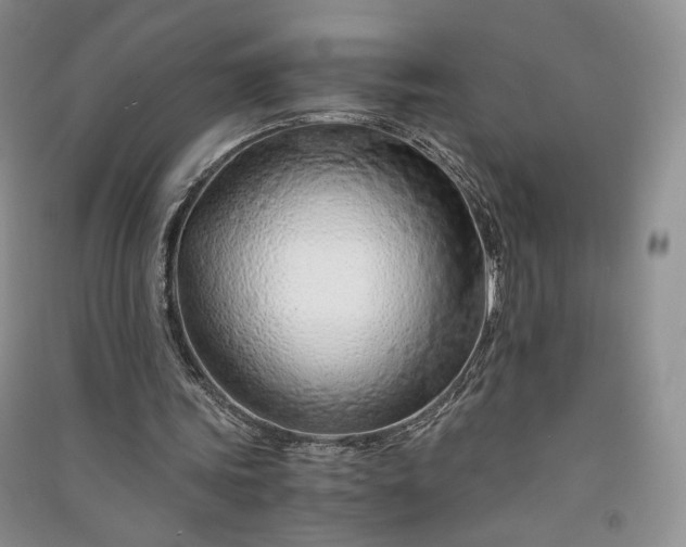 X0000090900339200708131356