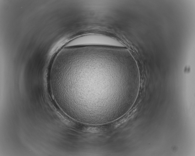 X0000090900341200708131356