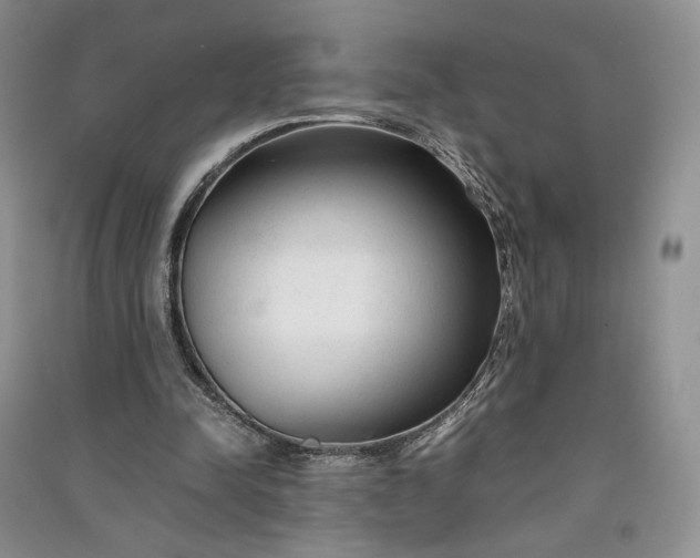 X0000090900342200708131356