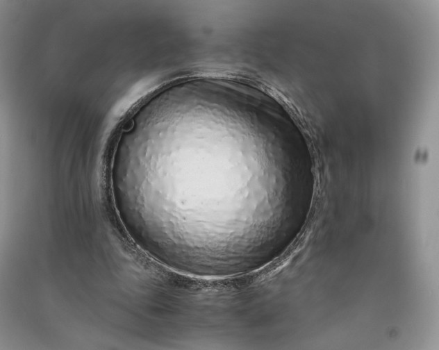 X0000090900343200708131357