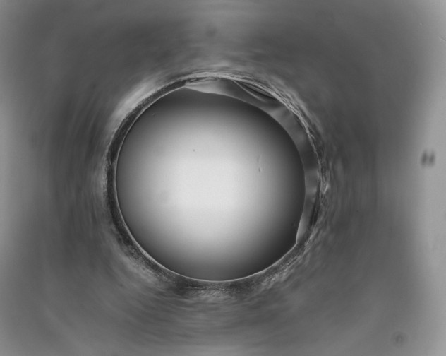 X0000090900344200708131357