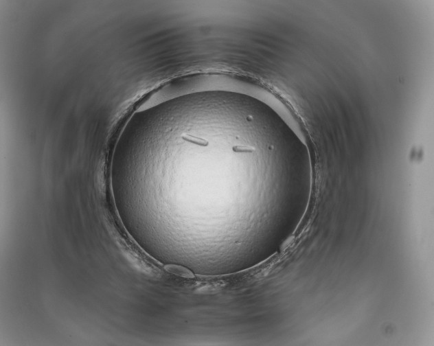 X0000090900345200708131357