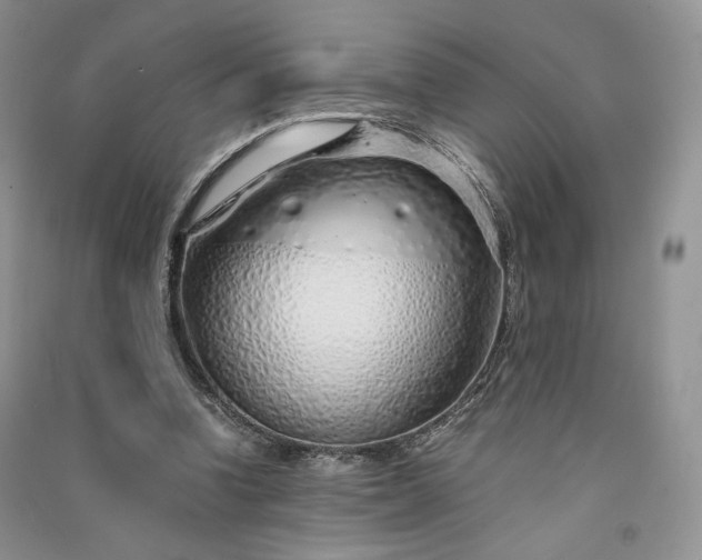 X0000090900346200708131357