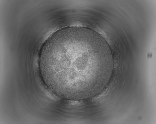 X0000090900347200708131357