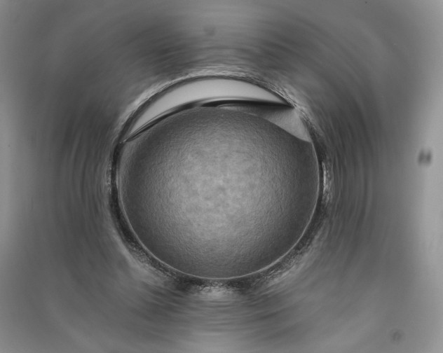 X0000090900348200708131357