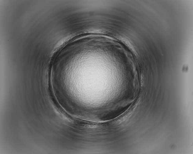 X0000090900349200708131357