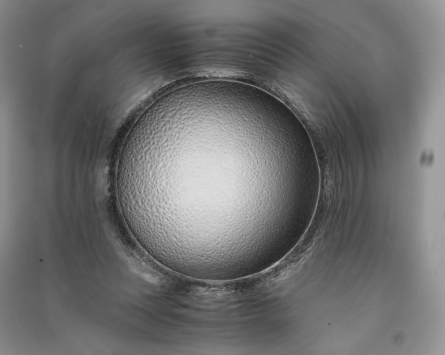 X0000090900351200708131357