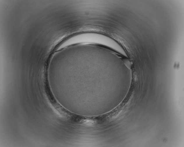 X0000090900352200708131357