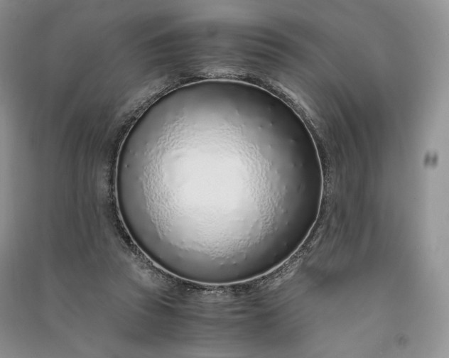 X0000090900353200708131357