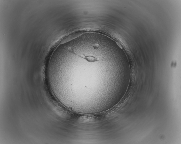 X0000090900354200708131357