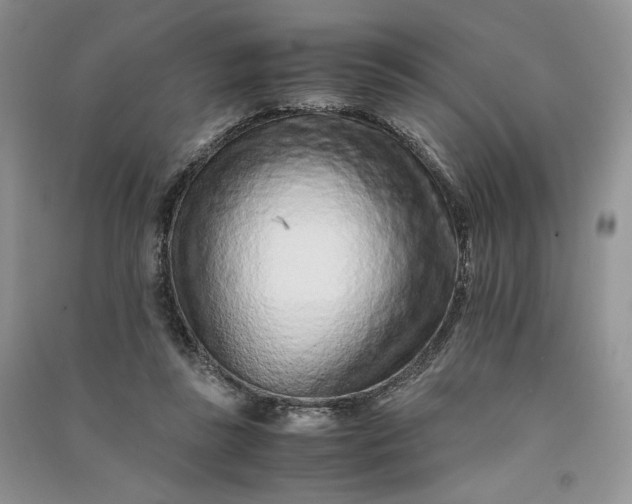 X0000090900355200708131357