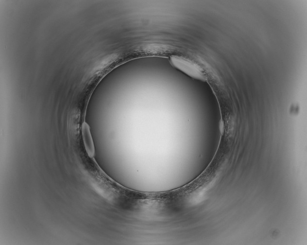 X0000090900356200708131357