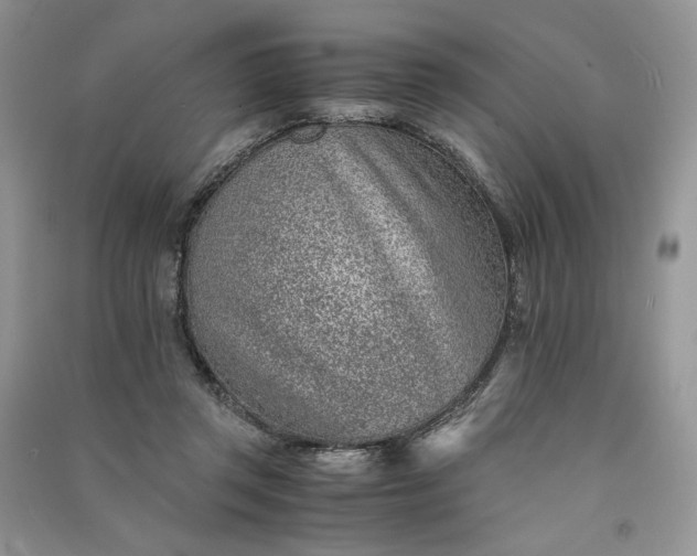 X0000090900357200708131357