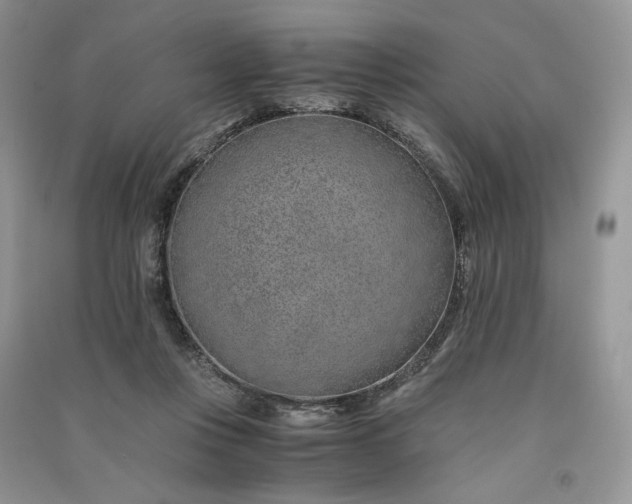 X0000090900359200708131357