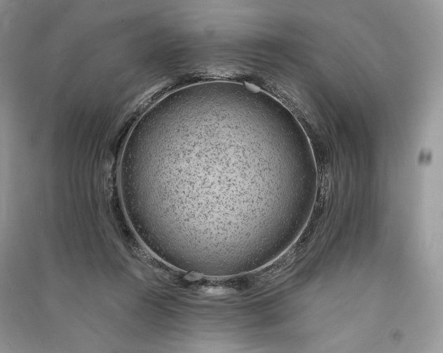 X0000090900360200708131357