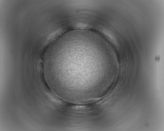 X0000090900361200708131357