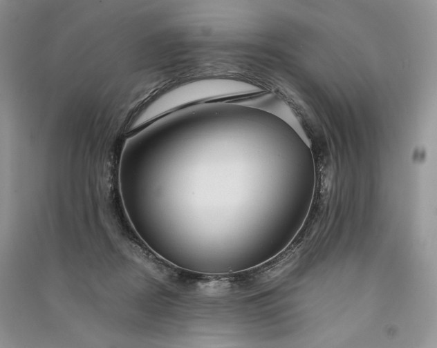 X0000090900362200708131357